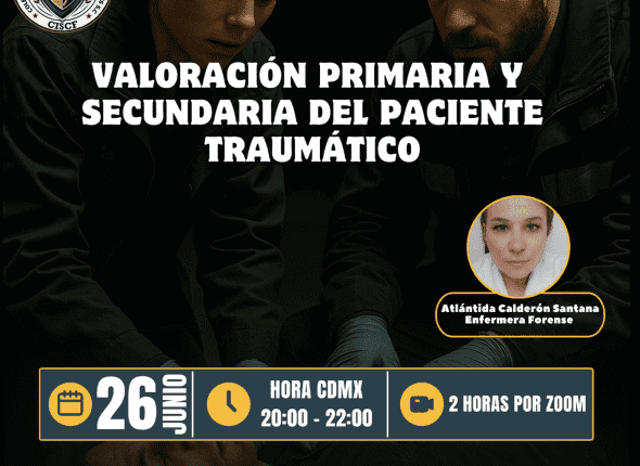 Captura de pantalla 2025-06-27 a las 12.39.17 a. m.